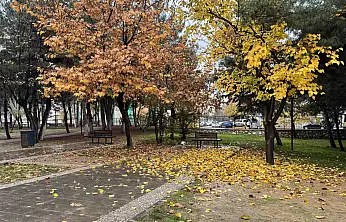 Siirt'in Göbeğinde Renk Cümbüşü! Soğuk havada sıcak bir manzara