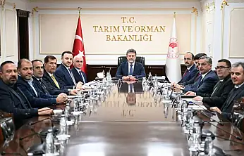 Siirt'in tarımsal geleceği Ankara'da masaya yatırıldı: Asırlık içme suyu problemi, Başur Mesire Alanı, hayvancılık ve kırsal kalkınma projeleri görüşüldü