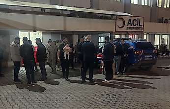 Siirt Kayabağlar'da Dışarıdan Yemek Yiyen 25 Kişi Hastanelik Oldu