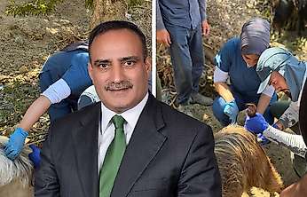 Siirt Küçükbaş Hayvancılığında Yeni Dönem: 1.500 Keçide Suni Tohumlama Yapıldı