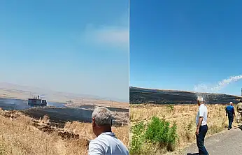 Siirt Kurtalan'da Büyük Yangın: Yüzlerce Dönüm Buğday Kül Oldu