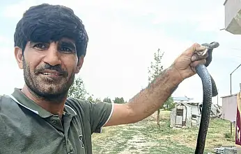 Siirt Kurtalan'da Eve Giren Yılanı Çıplak Elle Yakaladı, Doğaya Bıraktı