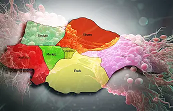 Siirt Listenin En Alt Sırasında! TÜİK 2022 Verileri Açıklandı: Kanser Ölümlerinin En Yüksek ve En Düşük Olduğu İller