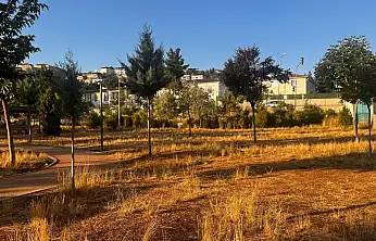 Siirt Millet Bahçesi'nde Çimler Bakımsızlık Nedeniyle Kurudu