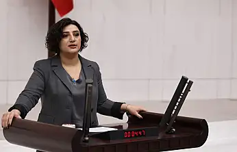 Siirt Milletvekili Sarıtaş'tan ''Epstein Dosyaları'' İçin Meclis Araştırması Talebi