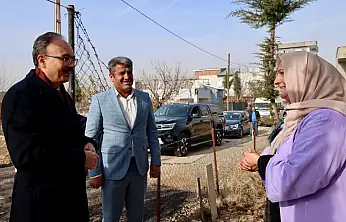 Siirt Şavuran Mahallesine Doğalgaz Müjdesi: Önümüzdeki hafta veriliyor