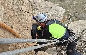 Siirt Şeytan Deresi'nde 3 gündür mahsur kalan keçiye kurtarma operasyonu