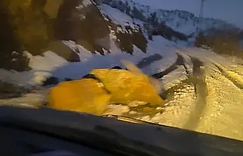 Siirt Şirvan Akgeçit–Yarımtepe–Hürmüz köy yolunda kaya düşmesi