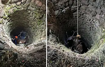 Siirt'te 15 Metrelik Kuyuya Düşen İnek Kurtarıldı