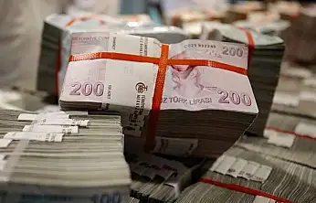 Siirt'te 2024 Kişi Başına GSYH Açıklandı: 261 Bin 810 Lira