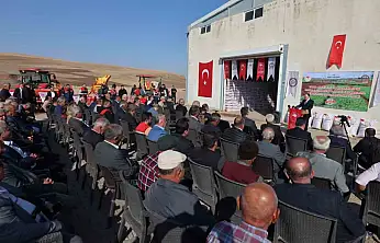 Siirt'te çiftçilere 203 ton kırmızı mercimek dağıtıldı