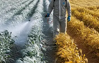 Siirt'te 5 Günlük Tarımsal Hava Tahmini Açıklandı: Don Riski Yok