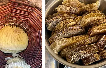 Siirt'te 5. Kuşak Arıcılık Geleneği: Balın Her Şeyi Arıya Ait