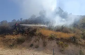 Siirt'te 60 Dönümlük Mera Alanı Küle Döndü, Facia Son Anda Önlendi