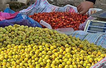 Siirt'te alıç tezgâhlarda: Kilosu 100-150 TL arasında