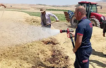 Siirt'te Artan Sıcaklıkla Birlikte Yangınlar Arttı: 1 Haftada Çıkan Yangın Sayısı Belli Oldu