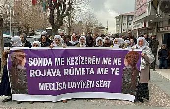 Siirt'te Barış Anneleri'nden Suriye'nin kuzeyine dikkat çeken açıklama