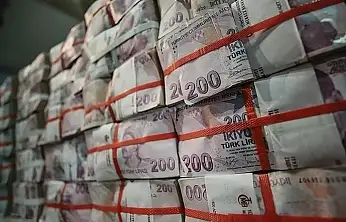 Siirt'te Bir Şirkete 18.2 Milyon TL Ceza Kesildi! İşte Kesilen Cezalar