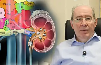 Siirt'te Böbrek Taşı Alarmı! Prof. Dr. Azmi Levent Sağnak Uyardı: İhmal Ölümcül Sonuçlar Doğurabilir