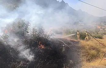 Siirt'te Çıkan Orman Yangını Kontrol Altına Alındı
