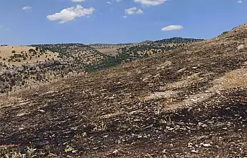 Siirt'te Çıkan Örtü Yangınını Köylüler Söndürdü