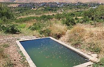 Siirt'te Doğa Fotoğrafçısı Üzüm Tek Başına 7 Yıldır Takip Ediyor: 39 Doğal Su Kaynağını Kayıt Altına Aldı