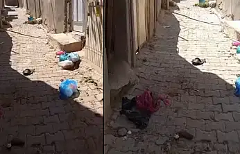 Siirt'te Dumlupınar Mahallesi'nde Çöp Tepkisi: Vatandaşlar Yardım İstiyor