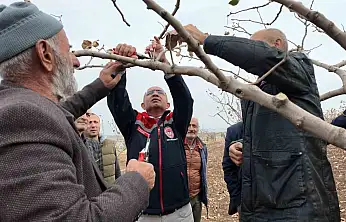 Siirt'te fıstık üreticilerine teorik ve pratik 'budama' ile 'gübreleme' eğitimi