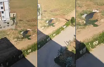 Siirt'te Foseptik Çukuru Tepkisi: Vatandaş Şikayetçi