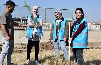 Siirt'te 'Geleceğe Nefes' Seferberliği: Fidanlar Toprakla Buluştu