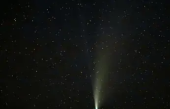 Siirt'te görüntülendi: 1.350 yıl aradan sonra ilk kez