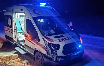 Siirt'te Hasta Taşıyan Ambulans At Sürüsüne Çarptı: 1 At Öldü