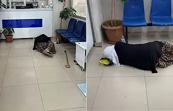 Siirt'te İlaç Almaya Giden Yaşlı Kadın Yorgunluğa Yenik Düştü: Eczanede Klima Altında Uyuyakaldı