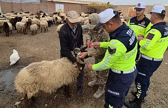 Siirt'te Jandarmadan Hayvan Çarpmalarına Önlem: Siirt'te Reflektif Bant Çalışması Başladı