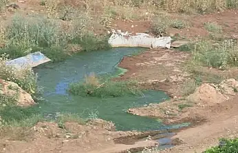 Siirt'te Kanalizasyon Tepkisi: Mahalle Sakinleri Kötü Koku ve Sivrisinekten Dertli