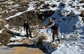 Siirt'te kar altında kalan yaban hayvanlarına 750 kilogramlık yaşam desteği