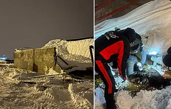 Siirt'te kar nedeniyle 3 ahır çöktü: 250 hayvan telef oldu!