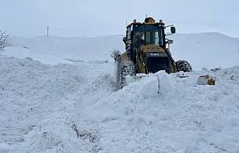 Siirt'te kar yağışı nedeniyle 282 köy yolu ulaşıma kapandı