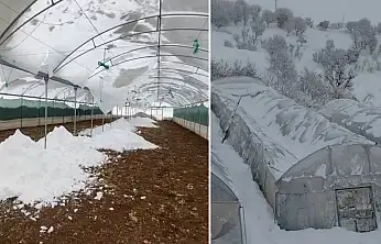 Siirt'te kar yağışı seraları çökertti