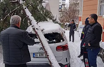 Siirt'te karın ağırlığına dayanamayan çam ağacı park halindeki aracın üzerine devrildi