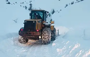 Siirt'te karla mücadele çalışmaları aralıksız sürüyor