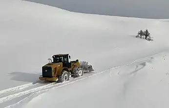 Siirt'te karla mücadele sürüyor: 162 köy yolundan 146'sı ulaşıma açıldı