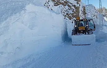 Siirt'te Karla Mücadelede Kırsal Tablo Belli Oldu: Kaç Araç, Kaç Personel Sahada?