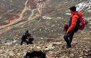 Siirt'te kayalıklarda mahsur kalan keçilerini kurtarmak isteyen çobanda mahsur kaldı! AFAD ekipleri çobanı ve keçileri kurtardı