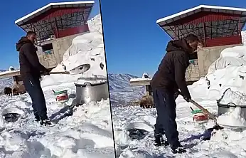 Siirt'te köylüler hayvanlarına eritilmiş kar suyu içiriyor