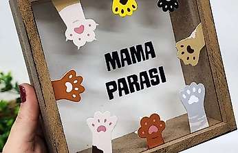 Siirt'te İzinsiz Mama Desteği Toplayan Kişiye 948 Bin TL İdari Para Cezası