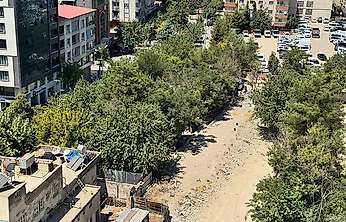 Siirt'te Mevlana Çay Bahçesi Boşaltıldı, Gözler Onlarca Büyük Ağaçta