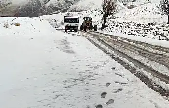 Siirt'te Mevsimin İlk Karı Etkili Oldu: Araçlar Yolda Mahsur Kaldı