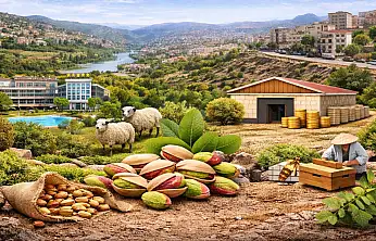 Siirt'Te Milyonluk Yatırımlar İçin ''Yerel Kalkınma Hamlesi'' Bilgilendirme Toplantısı Düzenlenecek