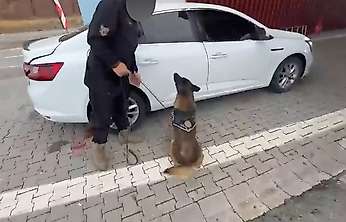 Siirt'te Narkotik Köpeği Araçtaki 5 Kilo 600 Gram Skunk'ı Buldu
